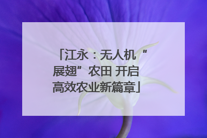 江永：无人机“展翅”农田 开启高效农业新篇章
