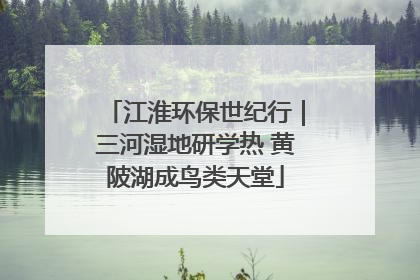 江淮环保世纪行｜三河湿地研学热 黄陂湖成鸟类天堂
