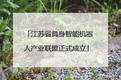 江苏省具身智能机器人产业联盟正式成立