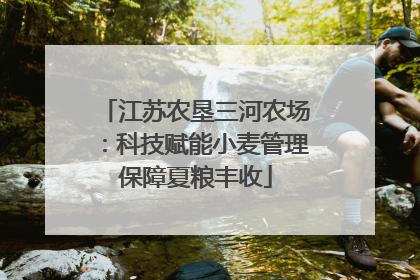 江苏农垦三河农场：科技赋能小麦管理保障夏粮丰收