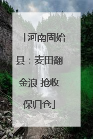 河南固始县：麦田翻金浪 抢收保归仓