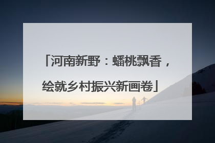 河南新野：蟠桃飘香，绘就乡村振兴新画卷