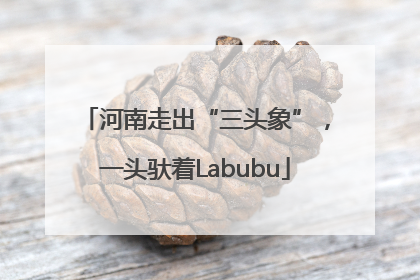 河南走出“三头象”，一头驮着Labubu