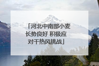河北中南部小麦长势良好 积极应对干热风挑战