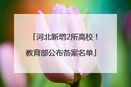 河北新增2所高校！教育部公布备案名单
