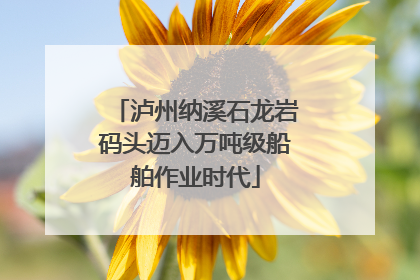 泸州纳溪石龙岩码头迈入万吨级船舶作业时代