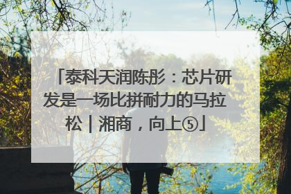 泰科天润陈彤：芯片研发是一场比拼耐力的马拉松｜湘商，向上⑤