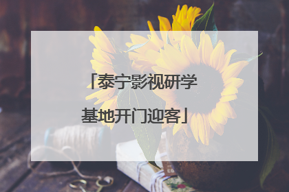 泰宁影视研学基地开门迎客