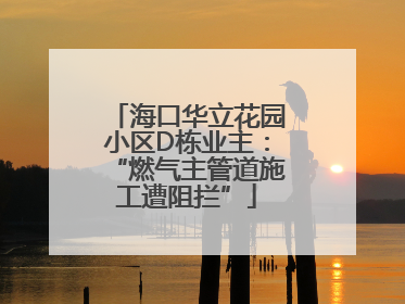 海口华立花园小区D栋业主：“燃气主管道施工遭阻拦”