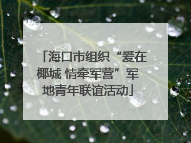 海口市组织“爱在椰城 情牵军营”军地青年联谊活动