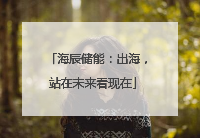 海辰储能：出海，站在未来看现在