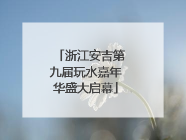 浙江安吉第九届玩水嘉年华盛大启幕