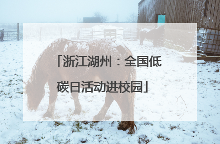 浙江湖州：全国低碳日活动进校园