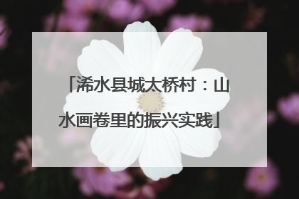 浠水县城太桥村：山水画卷里的振兴实践