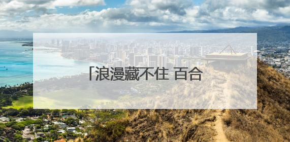 浪漫藏不住 百合花海绽放黄河之滨