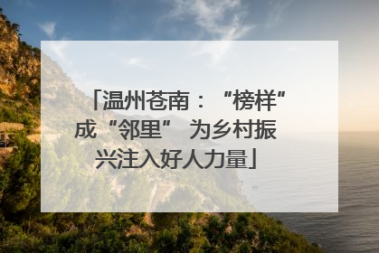 温州苍南：“榜样”成“邻里” 为乡村振兴注入好人力量