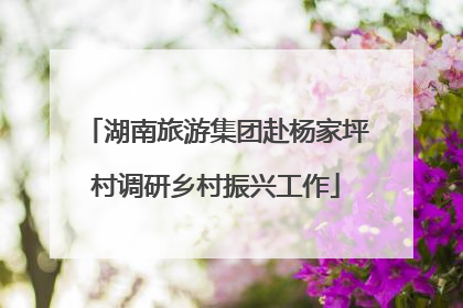 湖南旅游集团赴杨家坪村调研乡村振兴工作