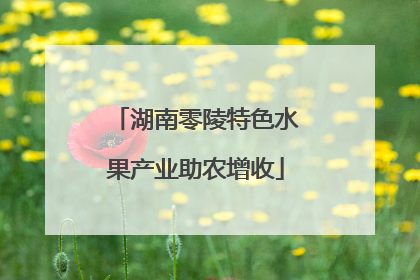 湖南零陵特色水果产业助农增收