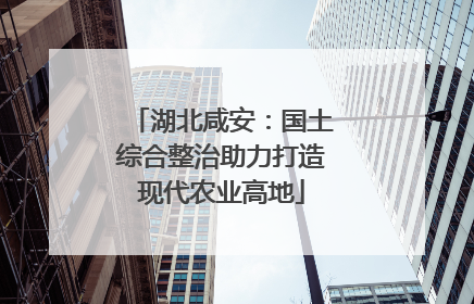 湖北咸安：国土综合整治助力打造现代农业高地