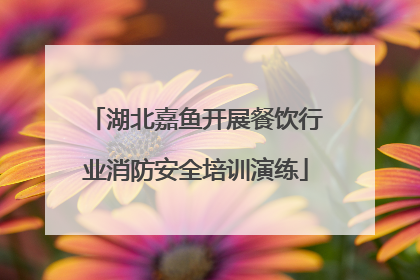 湖北嘉鱼开展餐饮行业消防安全培训演练