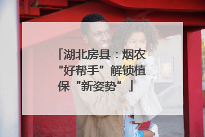 湖北房县：烟农“好帮手”解锁植保“新姿势”