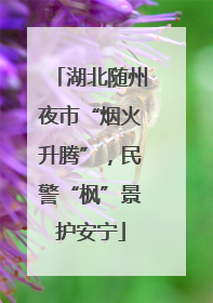湖北随州夜市“烟火升腾”，民警“枫”景护安宁