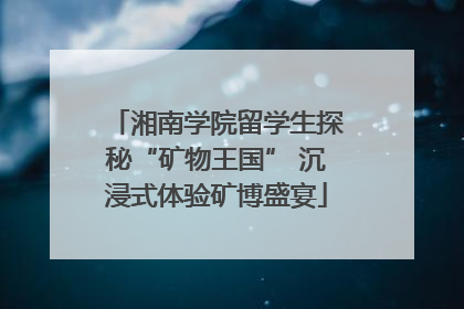 湘南学院留学生探秘“矿物王国” 沉浸式体验矿博盛宴