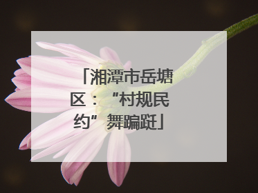 湘潭市岳塘区：“村规民约”舞蹁跹