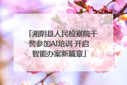 湘阴县人民检察院干警参加AI培训 开启智能办案新篇章
