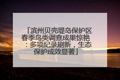 滨州贝壳堤岛保护区春季鸟类调查成果惊艳：多项纪录刷新，生态保护成效显著
