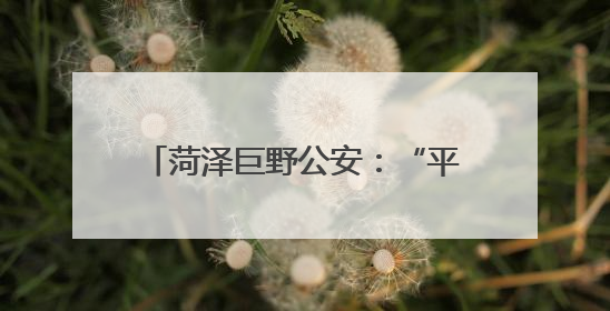 菏泽巨野公安：“平安驿站”点亮夏夜 多维守护高铁枢纽