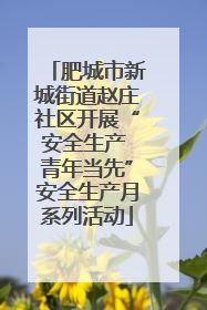 肥城市新城街道赵庄社区开展“安全生产 青年当先”安全生产月系列活动