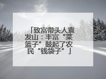 致富带头人袁发山：丰富“菜篮子”鼓起了农民“钱袋子”