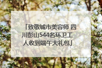 致敬城市美容师 四川彭山544名环卫工人收到端午大礼包