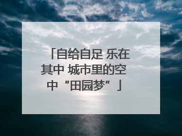 自给自足 乐在其中 城市里的空中“田园梦”