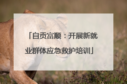 自贡富顺：开展新就业群体应急救护培训