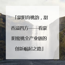 蒙阴育桃韵，甜香溢四方——看蒙阴蜜桃全产业链的创新崛起之路