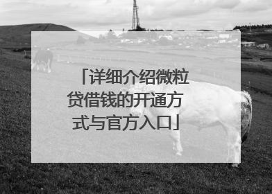 详细介绍微粒贷借钱的开通方式与官方入口