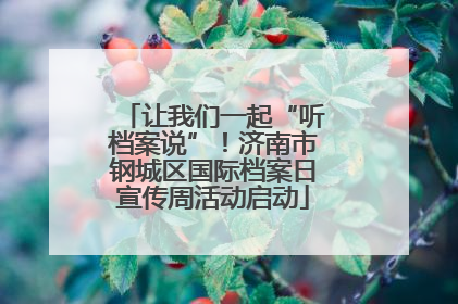 让我们一起“听档案说”！济南市钢城区国际档案日宣传周活动启动