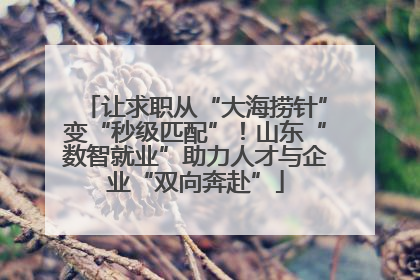让求职从“大海捞针”变“秒级匹配”！山东“数智就业”助力人才与企业“双向奔赴”