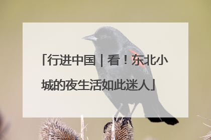 行进中国｜看！东北小城的夜生活如此迷人