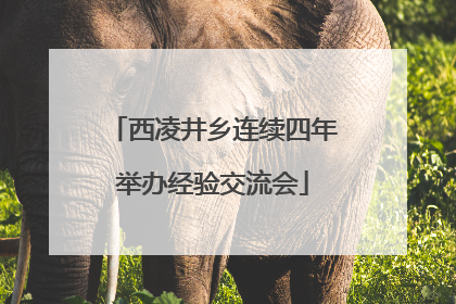 西凌井乡连续四年举办经验交流会