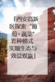西安高新区探索“葡萄+蔬菜”套种模式 实现生态与效益双赢