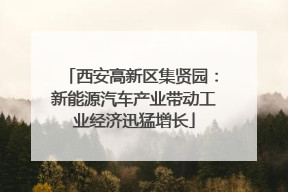 西安高新区集贤园：新能源汽车产业带动工业经济迅猛增长