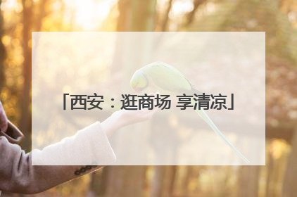 西安：逛商场 享清凉