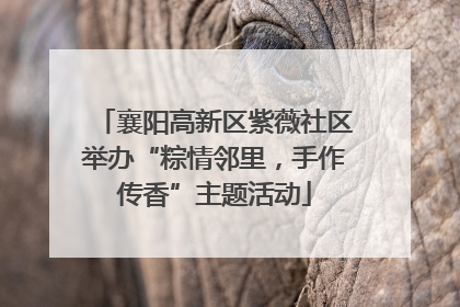 襄阳高新区紫薇社区举办“粽情邻里，手作传香”主题活动