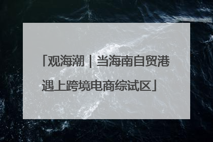 观海潮｜当海南自贸港遇上跨境电商综试区