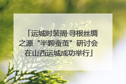 运城时装周·寻根丝绸之源“半颗蚕茧”研讨会在山西运城成功举行