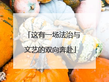 这有一场法治与文艺的双向奔赴