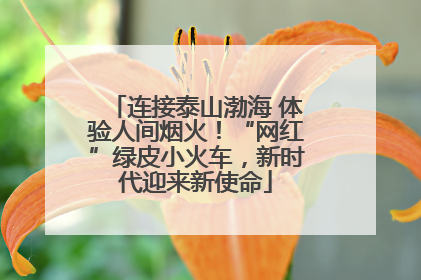 连接泰山渤海 体验人间烟火！“网红”绿皮小火车，新时代迎来新使命